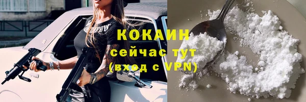 сатива Белокуриха