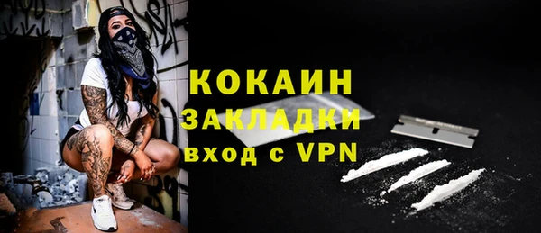 шишки Беломорск