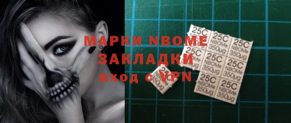 шишки Беломорск