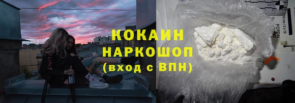 сатива Белокуриха