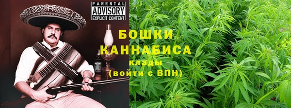 шишки Беломорск