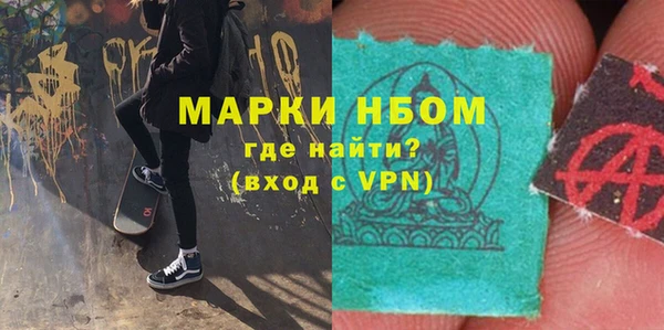 шишки Беломорск