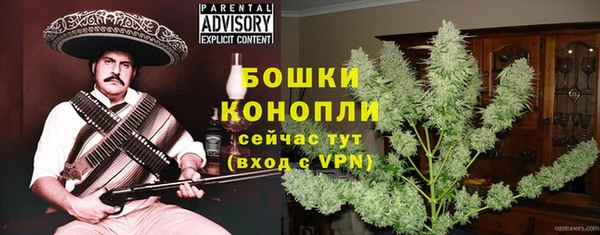 шишки Беломорск