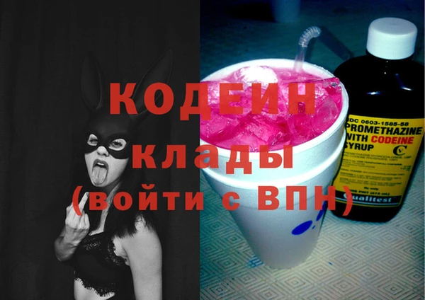 шишки Беломорск