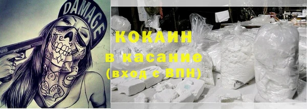 шишки Беломорск