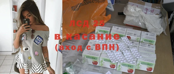 шишки Беломорск