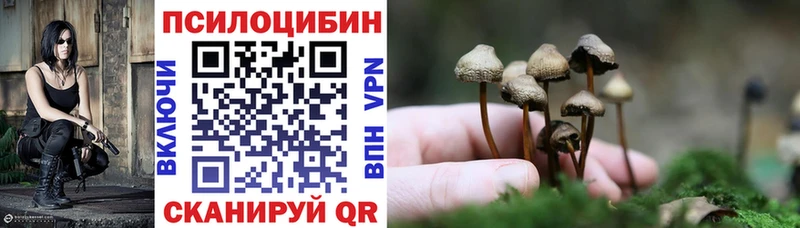кракен онион  продажа наркотиков  Полтавская  darknet какой сайт  Галлюциногенные грибы GOLDEN TEACHER 